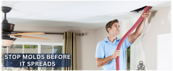 Air Duct Mold Removal in Chandler